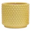Indoor Yellow Glazed Embossed Dots Ceramic Pot, Small -Patio Furniture Sales Store indoor yellow glazed embossed dots ceramic pot small