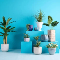 Providence Indoor Blue & White Striped Ceramic Pot, Small -Patio Furniture Sales Store providence indoor blue white striped ceramic pot small 1