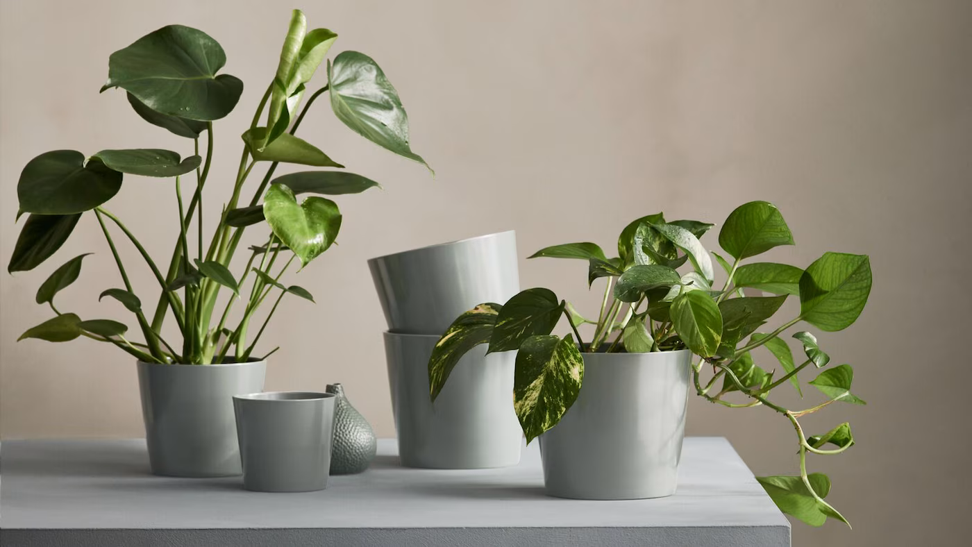 Patio Furniture Sales Store -Patio Furniture Sales Store flower pots planters pp004